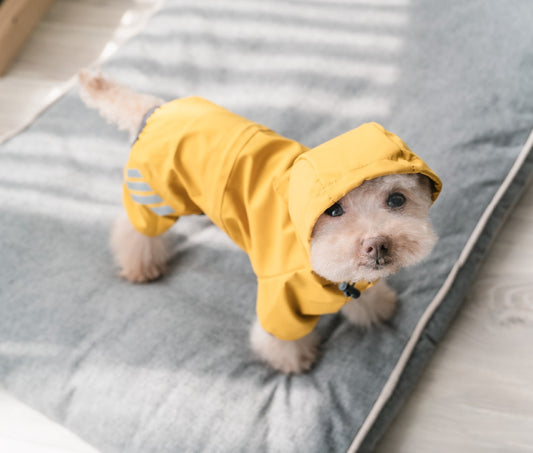 Dog Waterproof Jacket